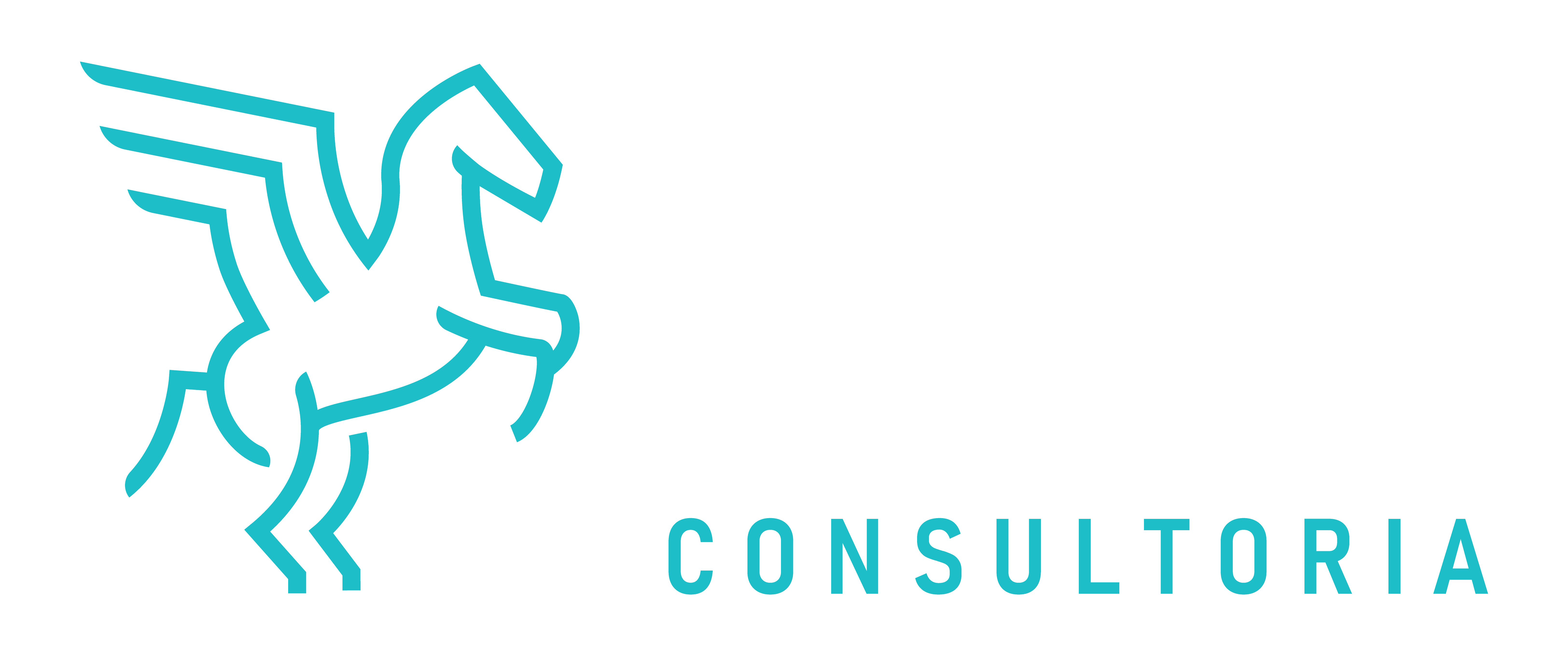 ECR Consulting